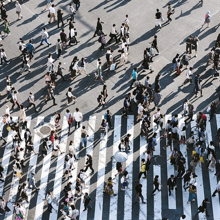 Optimisation de la Production Laitière: Quels Leviers pour Maximiser la Rentabilité?